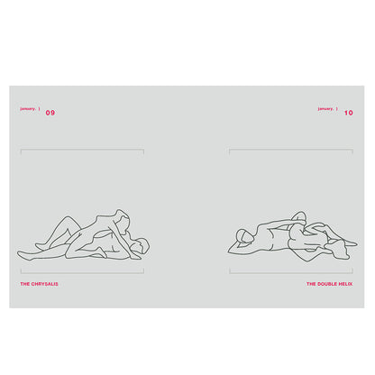 POSITION OF THE DAY REVISED AND UPDATED: SEX EVERY DAY IN EVERY WAY 