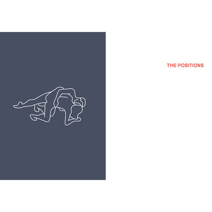 POSITION OF THE DAY PLAYBOOK REVISED AND UPDATED: SEX EVERY DAY IN EVERY WAY 