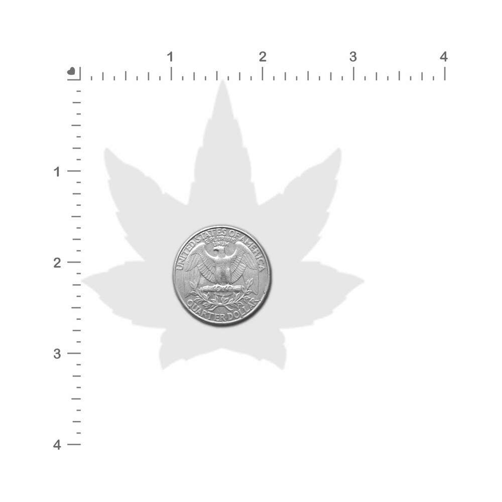 PASTEASE - INDICA POT LEAF: HOLOGRAPHIC WEED PASTIES
