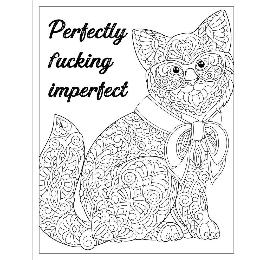 HACHETTE - F*CKING FANTASTIC: A COLOSSAL KICK-ASS COLORING BOOK