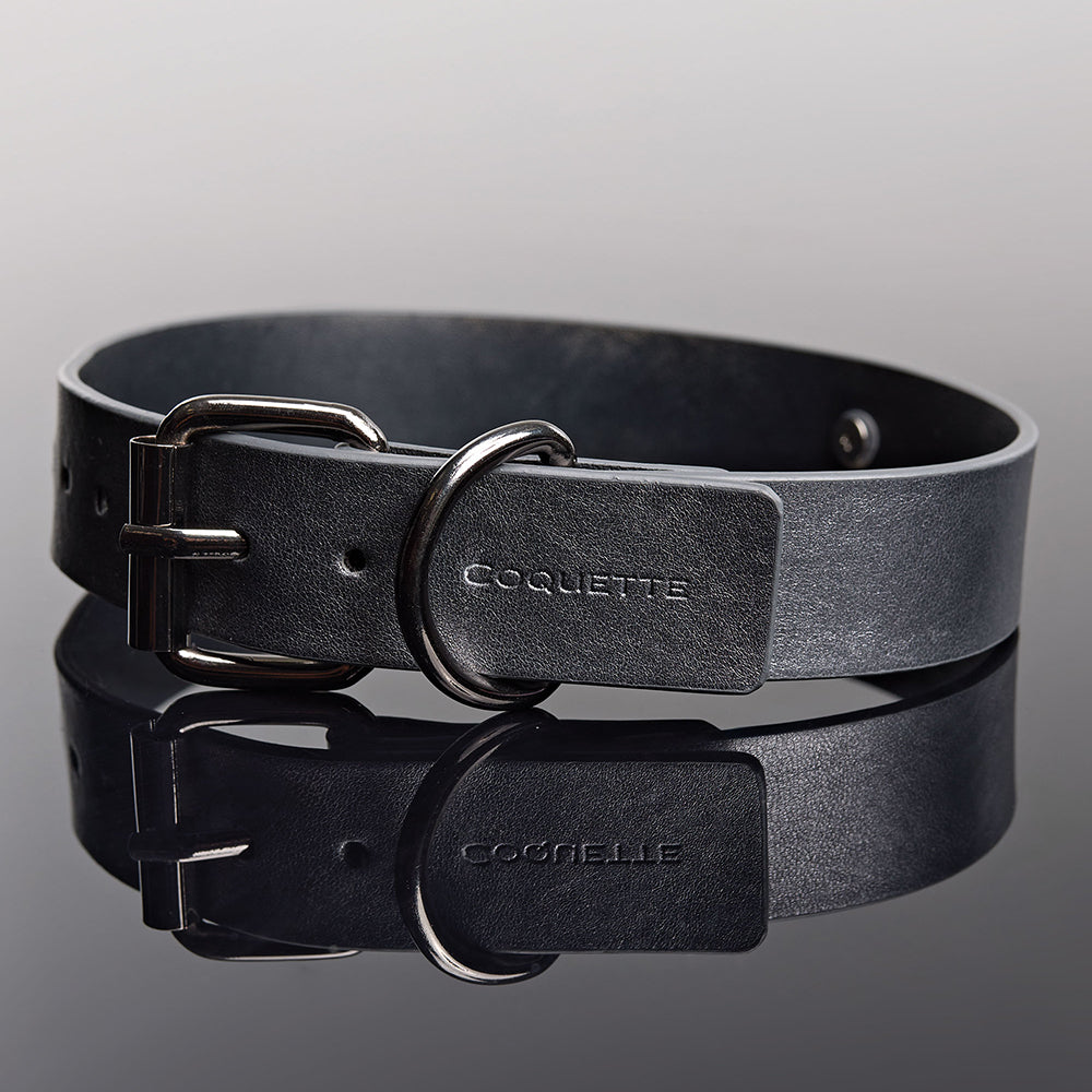 COQUETTE - PLEASURE COLLAR & LEASH GREY