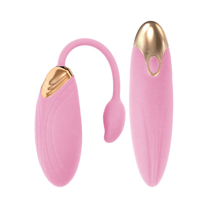 NASSTOYS - BLAZE DUAL MASSAGER KIT