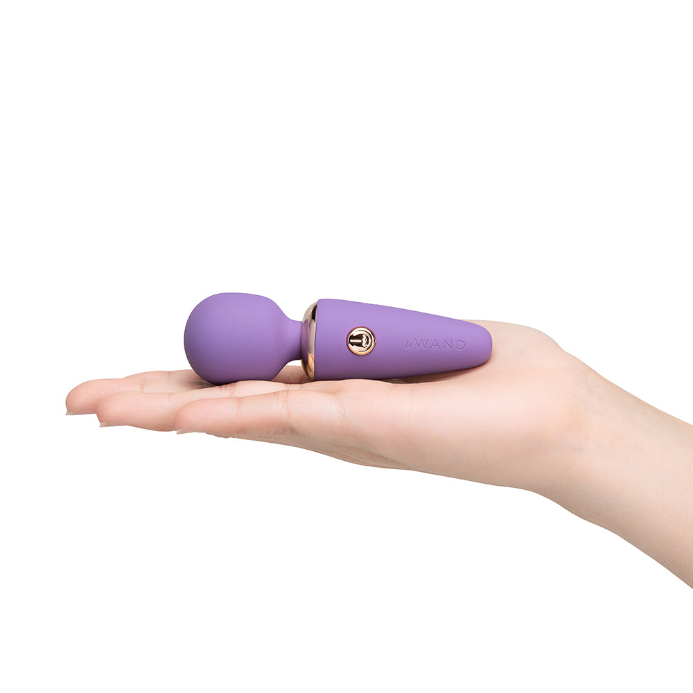 LE WAND MINI MICRO WAND VIOLET