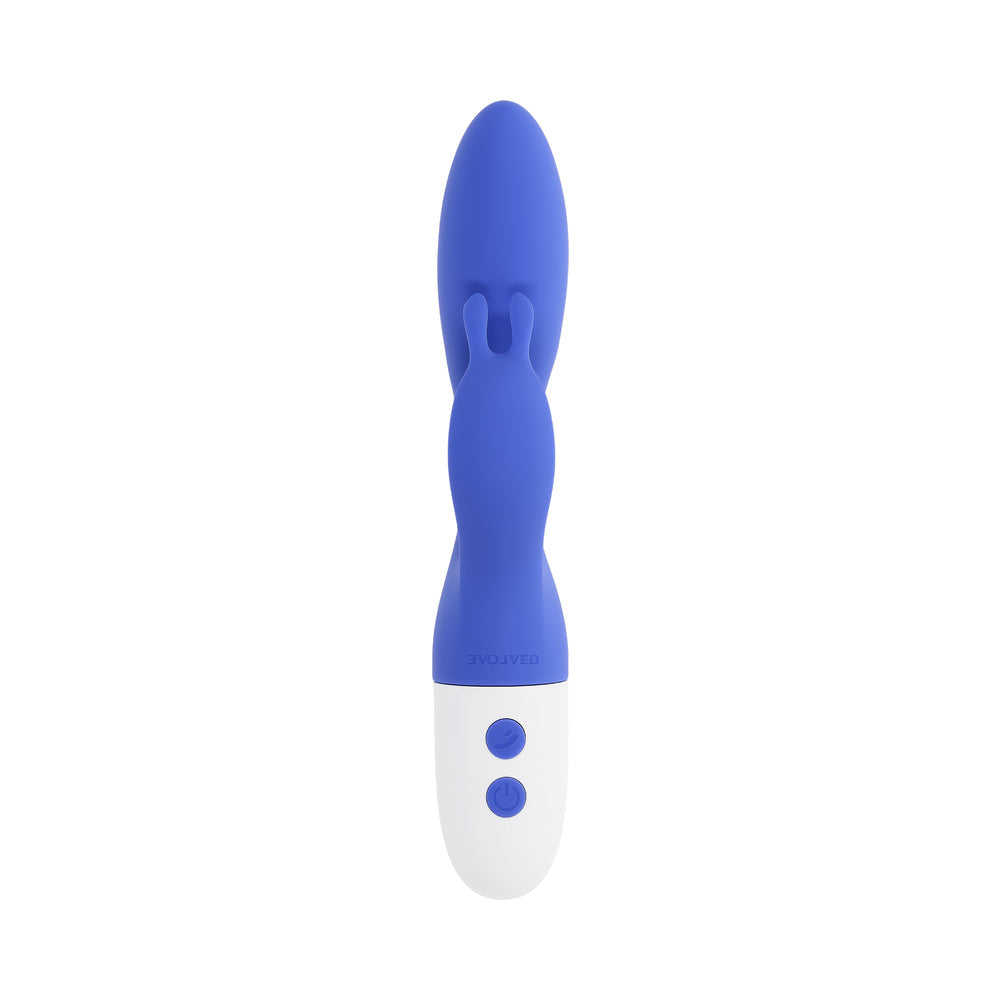 EVOLVED - FUNNY BUNNY BLUE