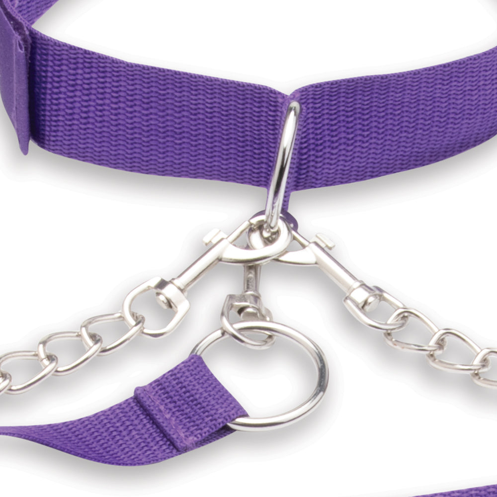 ANGUILA ELÉCTRICA - CONJUNTO DE COLLAR, PUÑOS Y CORREA LUX FETISH CON PUÑOS Y CORREA EXTRAÍBLES