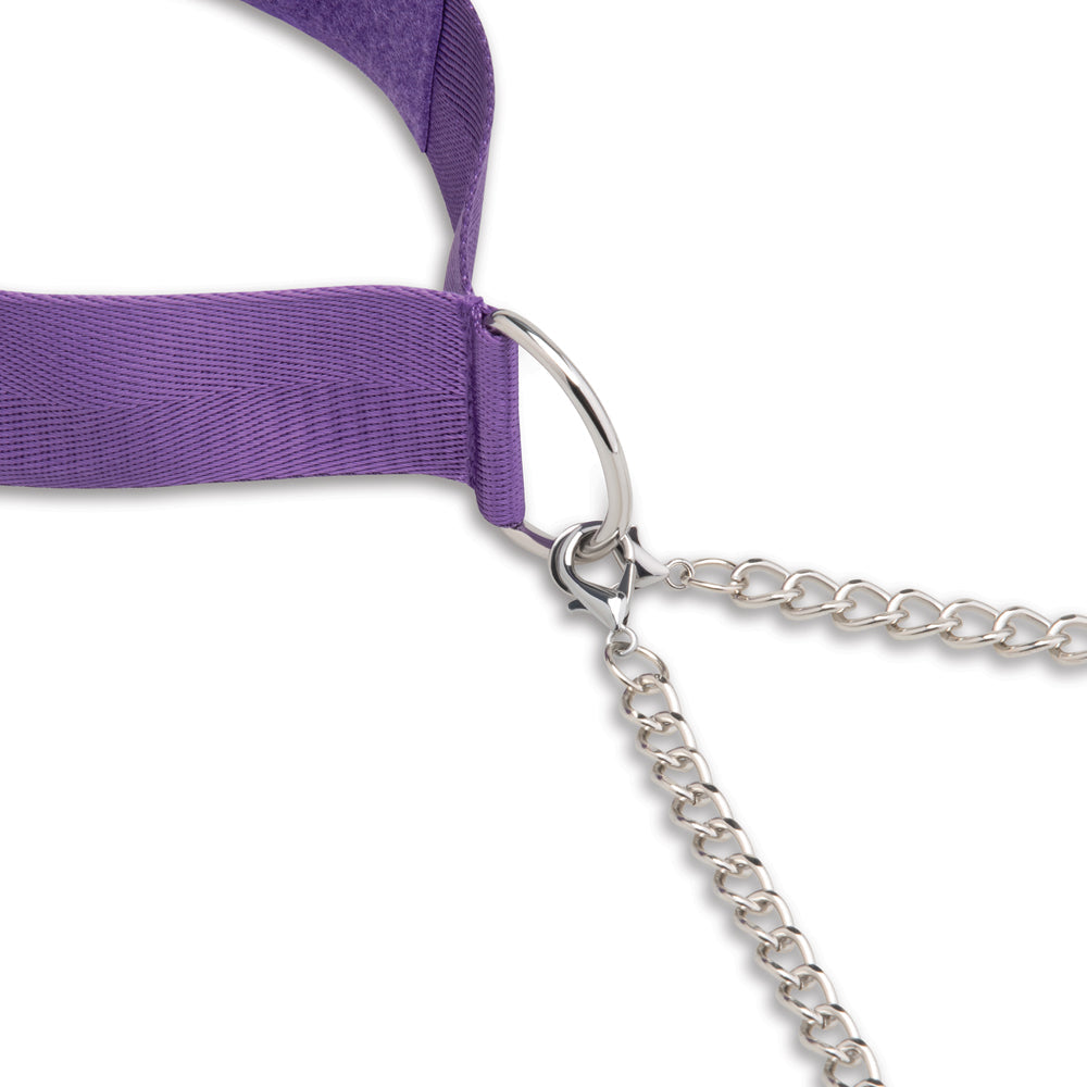 ELECTRIC EEL - LUX FETISH COLLAR & NIPPLE CLAMPS