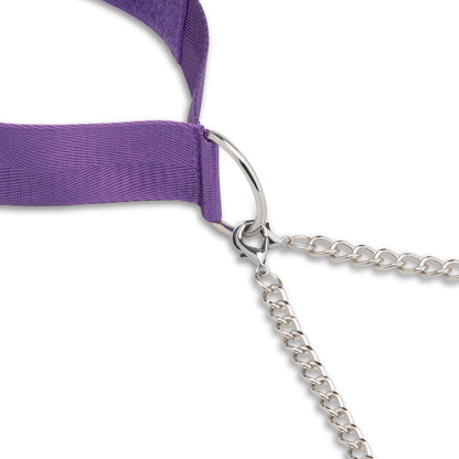 ELECTRIC EEL - LUX FETISH COLLAR & NIPPLE CLAMPS
