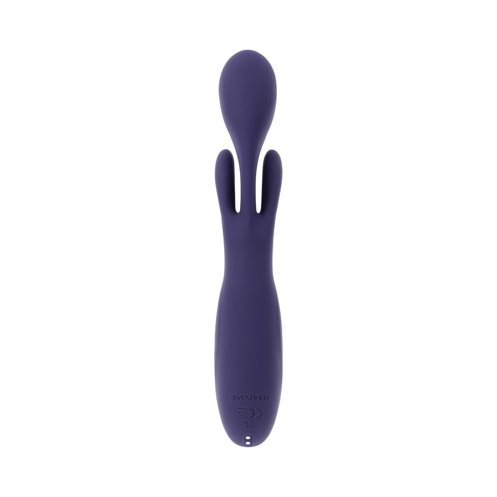 EVOLVED - BOW DOWN PURPLE