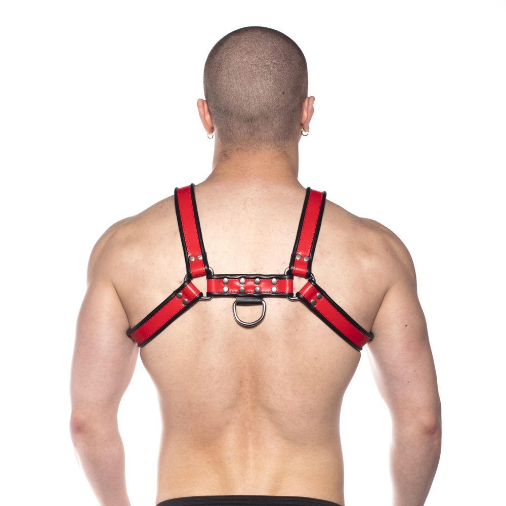 HARNAIS BULL - PROWLER RED