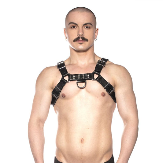 PROWLER RED - BULL HARNESS BLACK 2XL