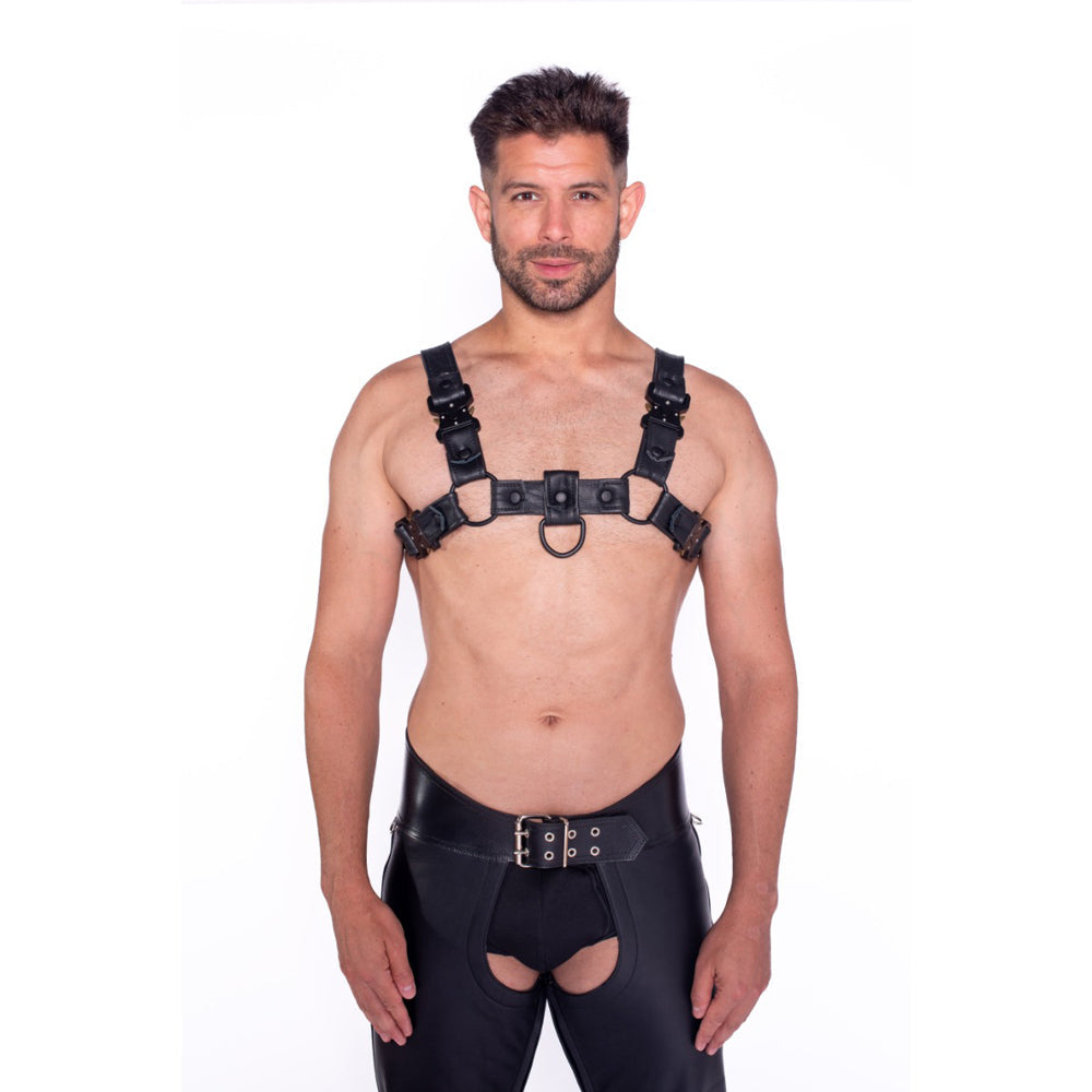 PROWLER RED - BULL HARNESS BLACK WITH METAL FITTINGS 2XL