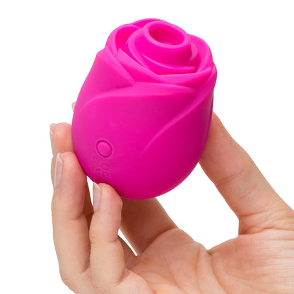 ROMP - ROSE 2.0