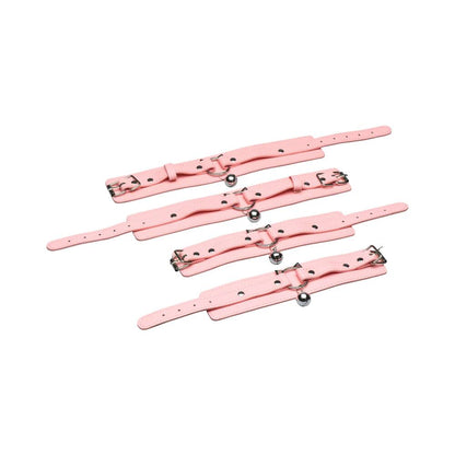 XR BRANDS - MASTER SERIES KITTY BONDAGE SET