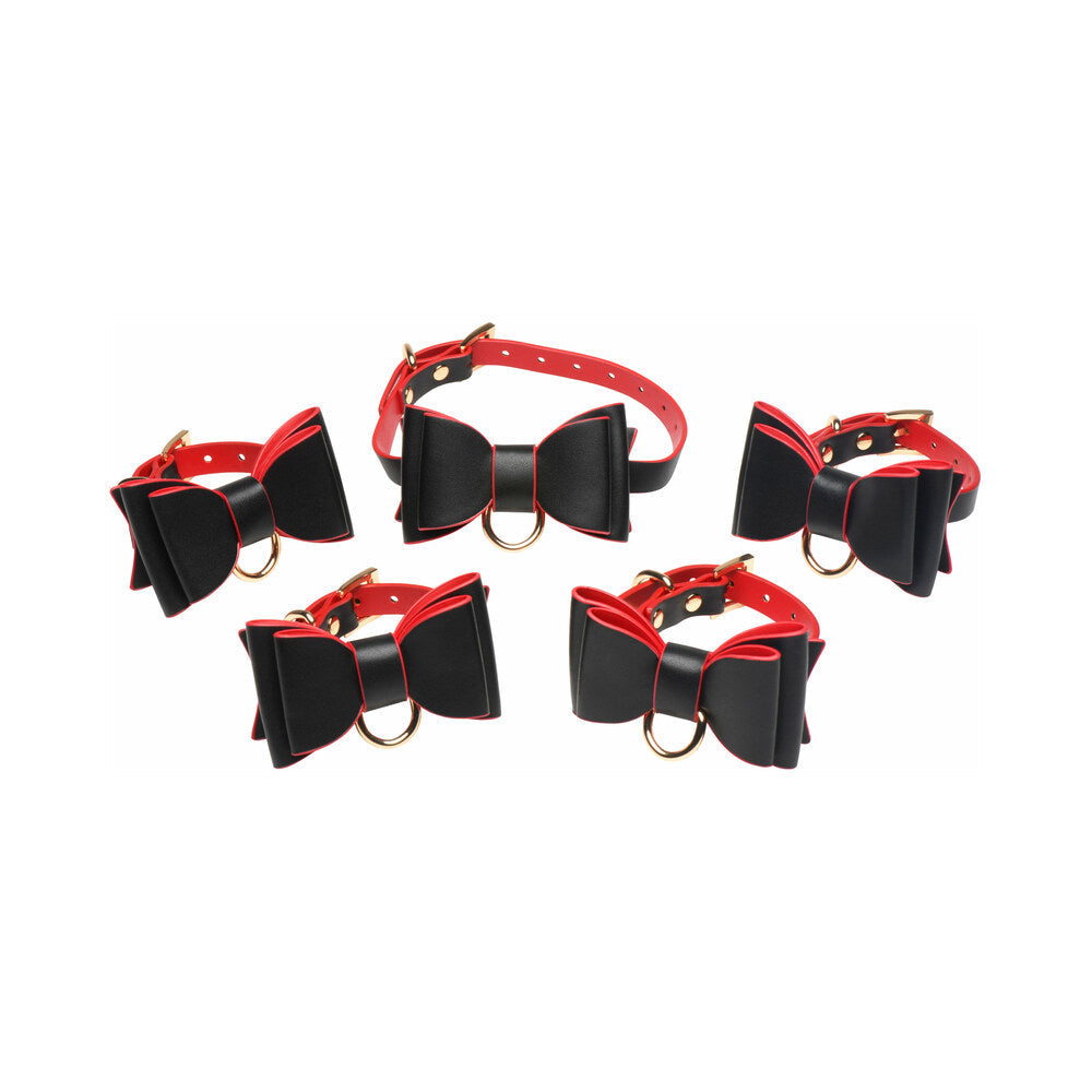 XR BRANDS - MASTER SERIES GOTH BONDAGE SET