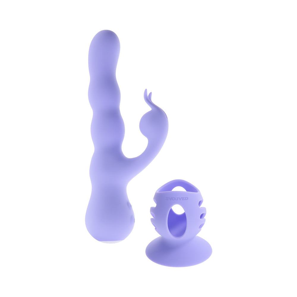 EVOLUCIONADO - CONEJITO ONDULANTE MORADO