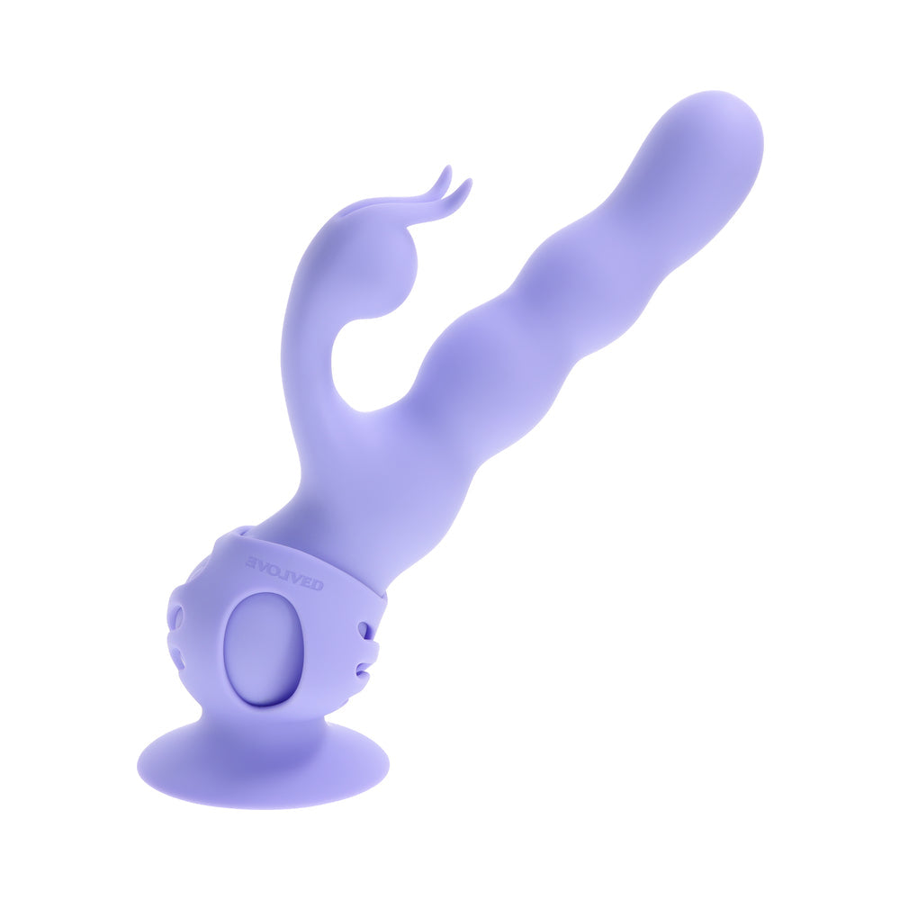 EVOLUCIONADO - CONEJITO ONDULANTE MORADO