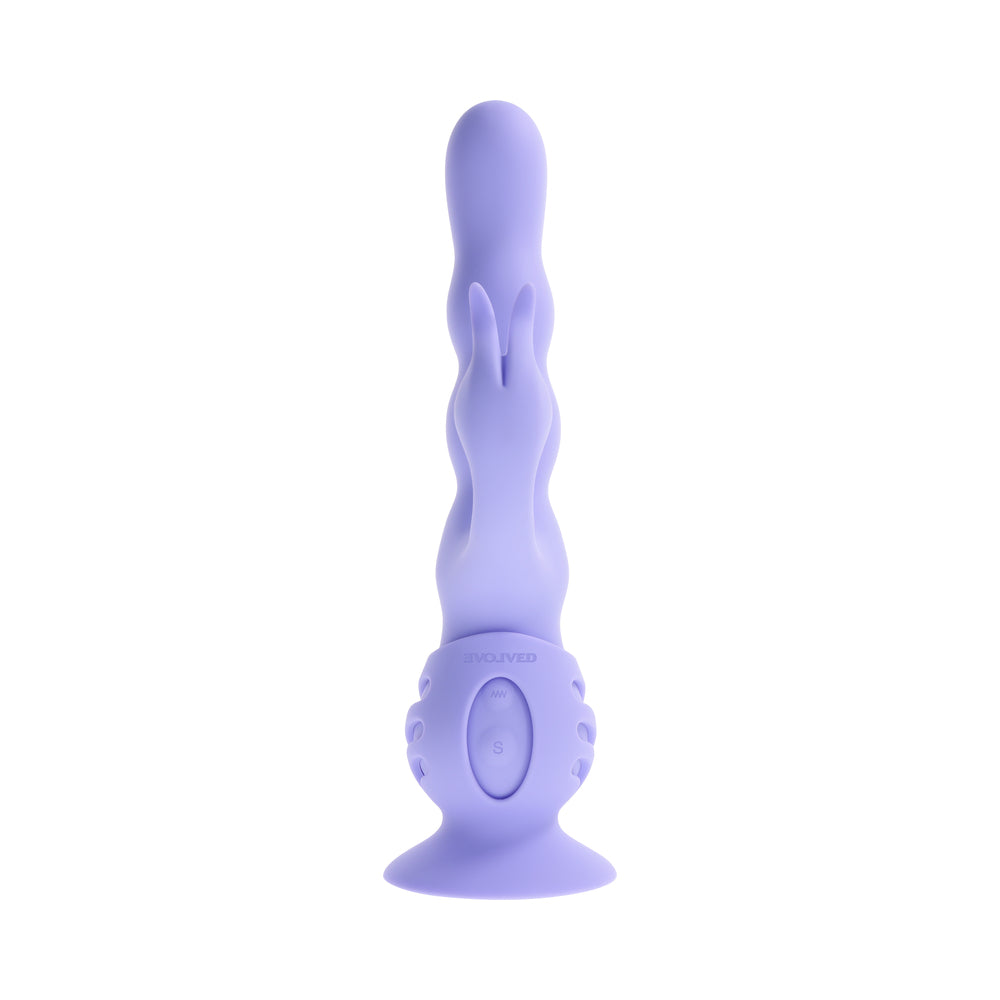 EVOLUCIONADO - CONEJITO ONDULANTE MORADO