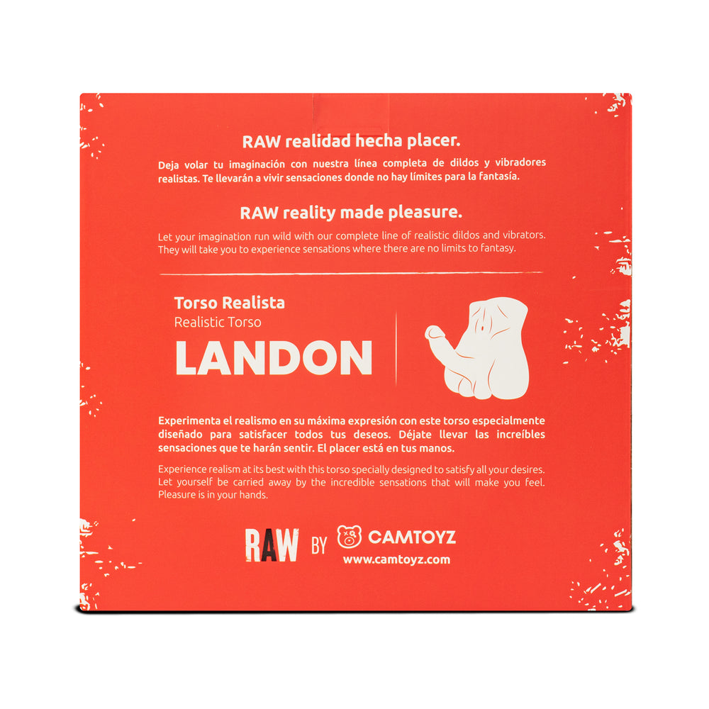 CAMTOYZ - REALISTIC TORSO LANDON