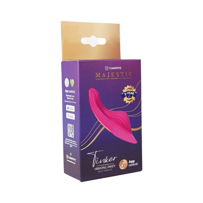 CAMTOYZ - VIBRATING PANTY WITH APP TINKER