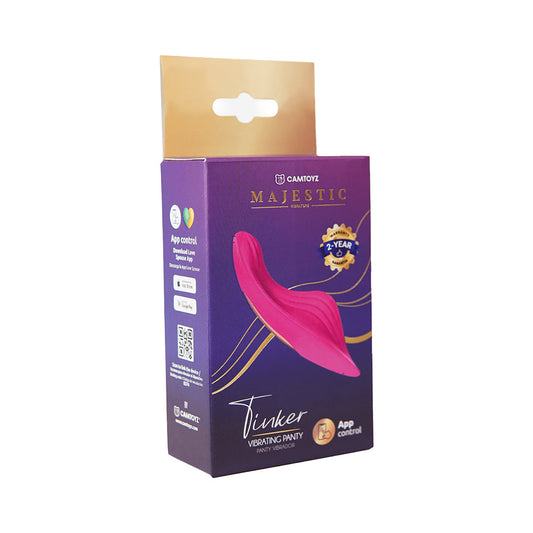 CAMTOYZ - VIBRATING PANTY WITH APP TINKER