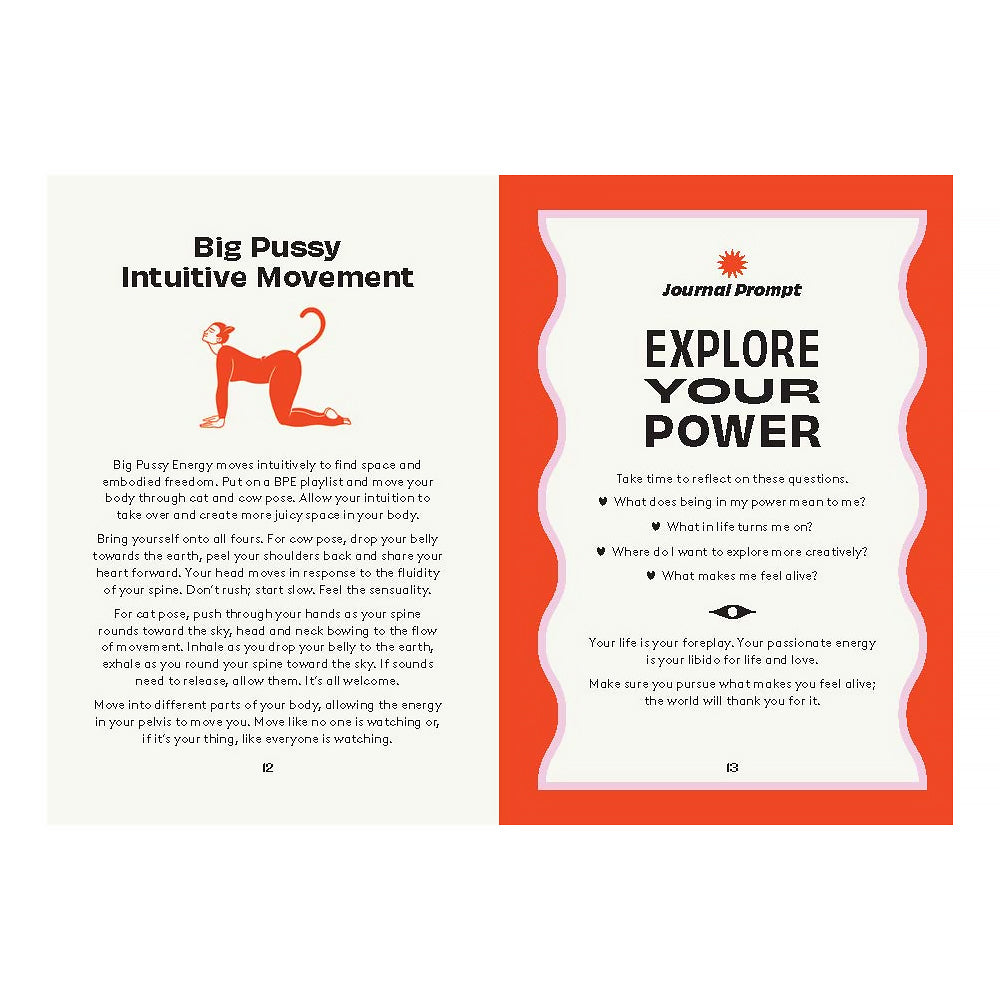 HACHETTE - BIG PUSSY ENERGY: FIRE UP YOUR FIERCE FEMME POWER