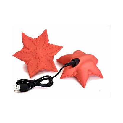 CUTE LITTLE FUCKERS STARSI CORAL