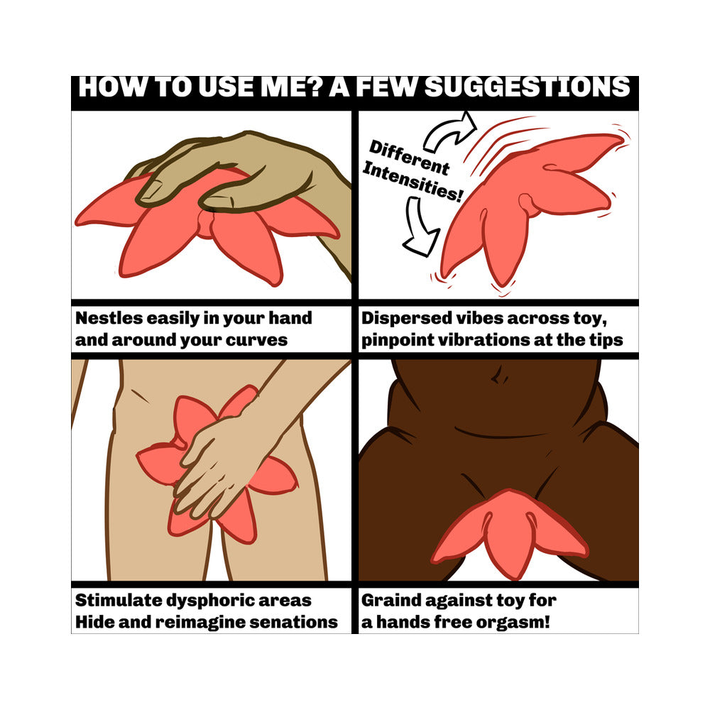 CUTE LITTLE FUCKERS STARSI ROSE