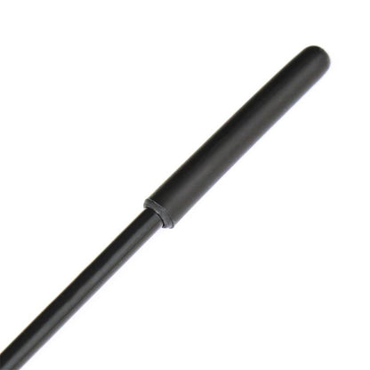 LATETOBED BDSM LINE - ACE OF SPADES RIDING CROP