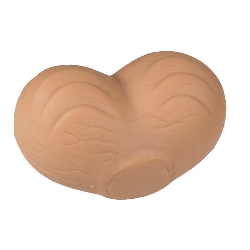 OOTB - ANTI STRESS BALL TESTICLE