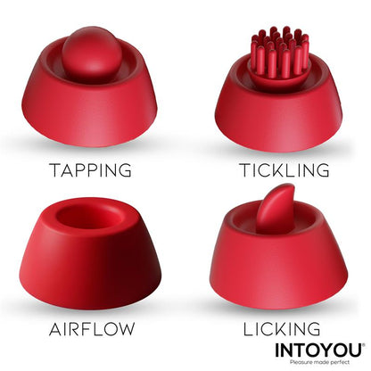 INTOYOU - BEENY STIMULATOR WITH 4 CAPS, SUCTION, TAPPING, TICKLING AND LICKING