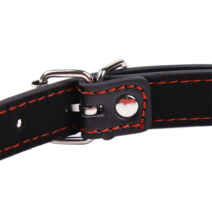 LATETOBED BDSM LINE - BONE GAG BALL RED