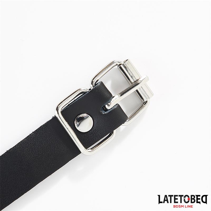 LATETOBED BDSM LINE - BUCKLE FASTENER RING WITH LEASH