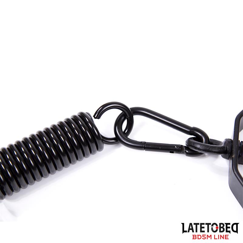 LATETOBED BDSM LINE - CEILING SWING