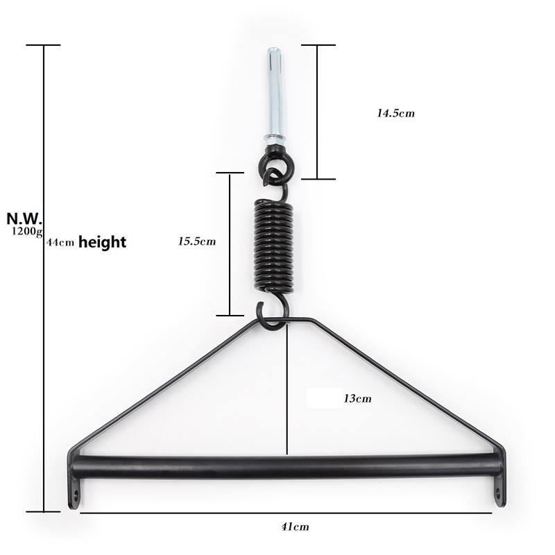 LATETOBED BDSM LINE - CEILING SWING