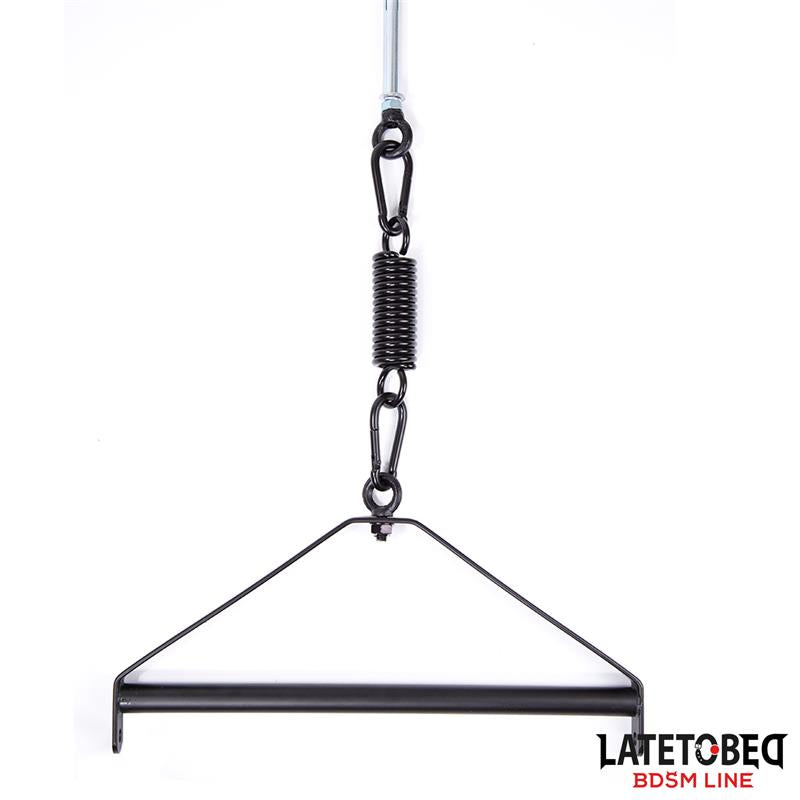 LATETOBED BDSM LINE - CEILING SWING
