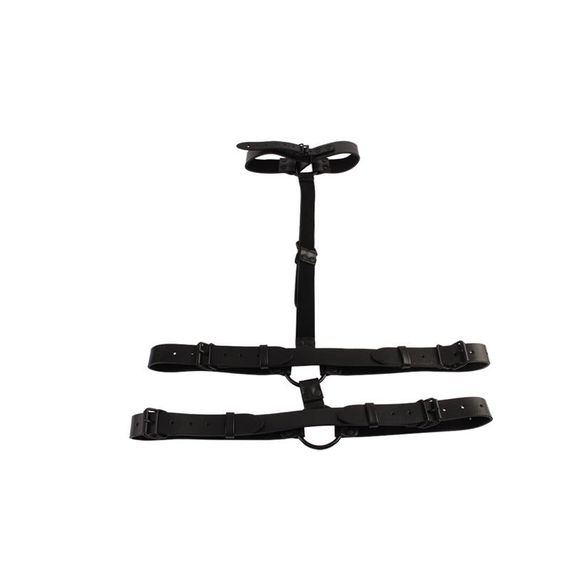 CHISA - COLLAR BODY RESTRAINT