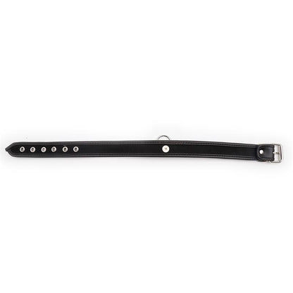 LATETOBED BDSM LINE - COLLAR WITH HOOP BLACK