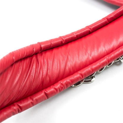 LATETOBED BDSM LINE - COLLAR WITH METAL LEASH PADDED INTERIOR RED/BLACK