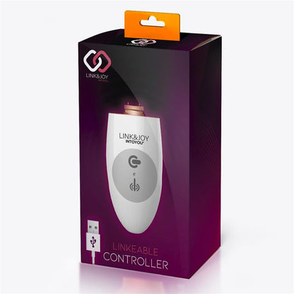 LINK&JOY - CONTROLLER USB