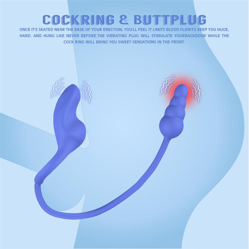 CHISA - DALLY BUTT PLUG WITH COCKRING WITH VIBRATION