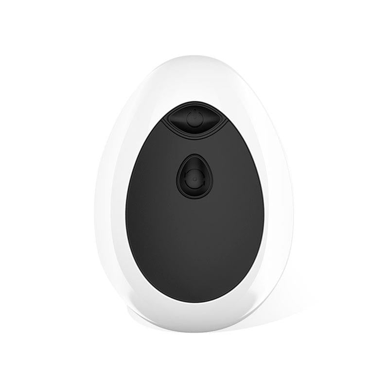 LATETOBED - DWEN P-SPOT VIBRATOR USB WITH REMOTE CONTROL