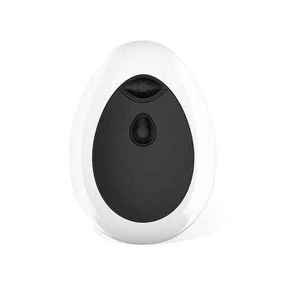 LATETOBED - DWEN P-SPOT VIBRATOR USB WITH REMOTE CONTROL