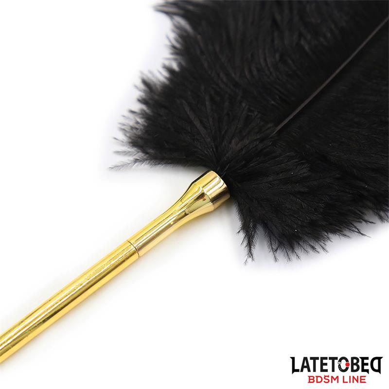 LATETOBED BDSM LINE - FEATHER TICKLER 41 CM