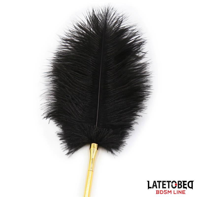 LATETOBED BDSM LINE - FEATHER TICKLER 41 CM