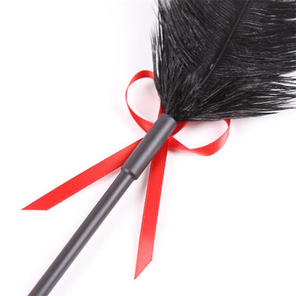 LATETOBED BDSM LINE - FEATHER TICKLER AND PADDLE 36 CM RED/BLACK