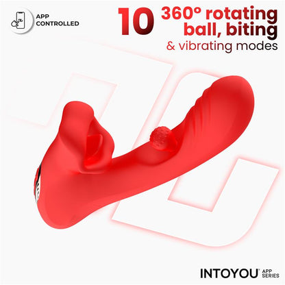 INTOYOU APP SERIES - FRANKY BITING AND ROTATING BALL VIBRATOR WITH APP