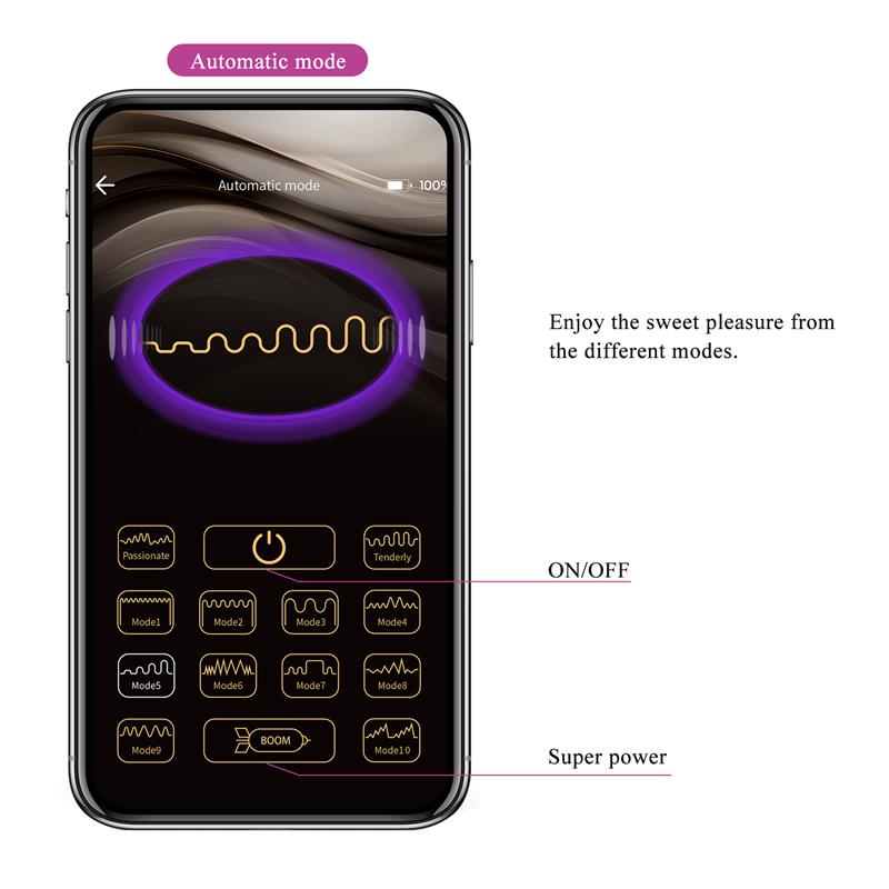 PRETTYLOVE - FRANZ VIBE WITH PANTY STIMULATOR AND APP