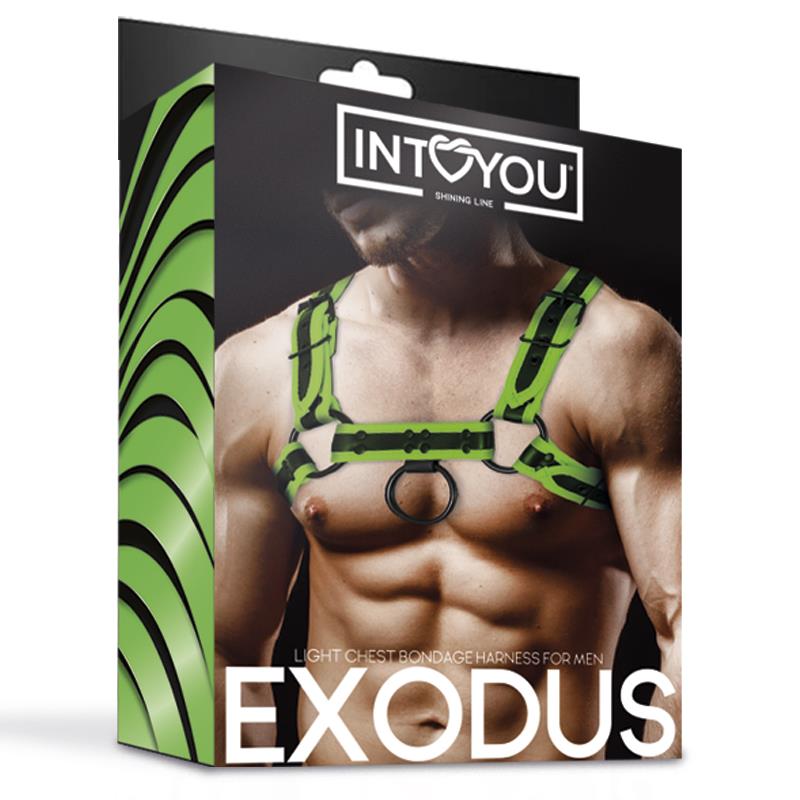 INTOYOU SHINING LINE - ARNÉS DE PECHO TIPO BONDAGE QUE BRILLA EN LA OSCURIDAD