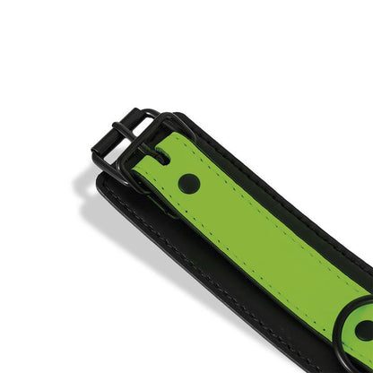 INTOYOU SHINING LINE - GLOW IN THE DARK COLLAR WITH LEASH