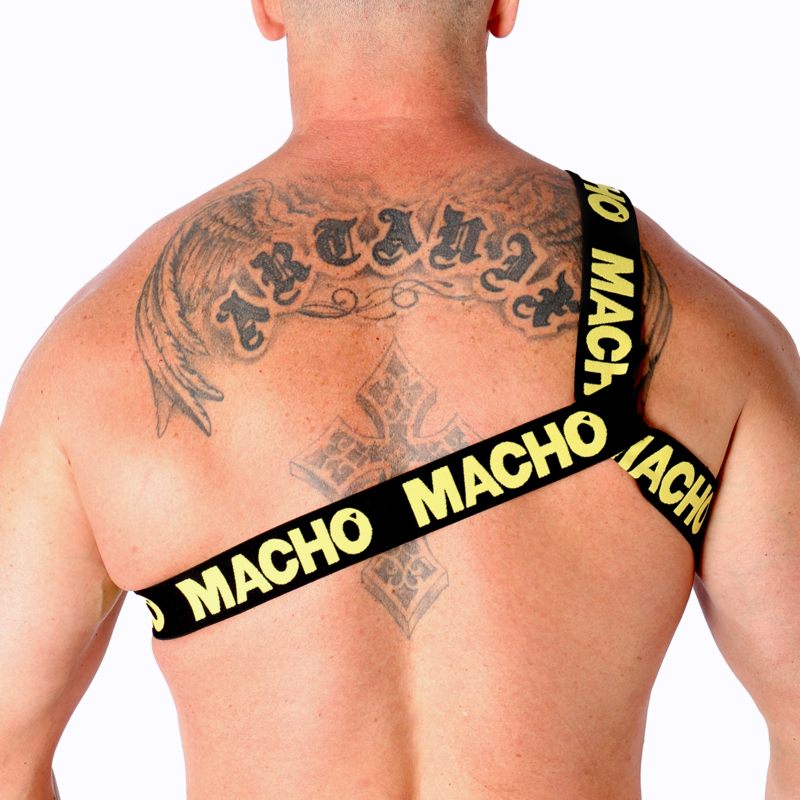MACHO - ROMAN HARNESS